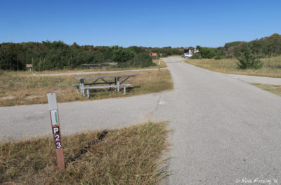 View further down P Loop along lower-tier sites. Site P23 on left. You can *just* see our rig in P22 in far back.