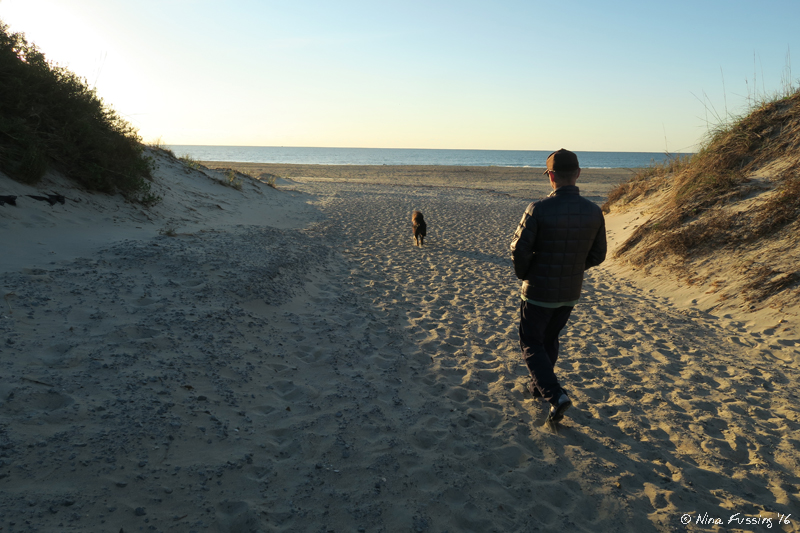 NP Campground Review Ocracoke Campground, Hatteras National Seashore
