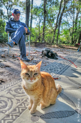 Just relaxing in our lovely campsite at James Island