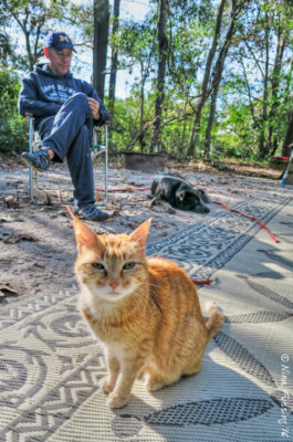 Our sweet kitty has recovered!!