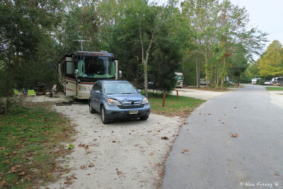 View of our site #80. This was a lovely, large, private back-in.