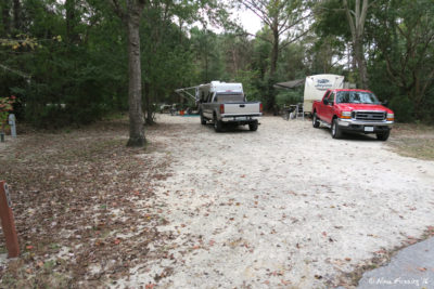 View further down east loop. These are "buddy sites" 92 & 93. Again, too close for my liking.