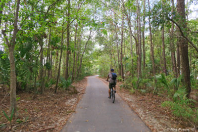 View of one of many miles of hiking/biking trails in the park
