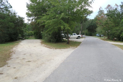 View further down west-side loop. Empty site #38 on left with #36 behind it. These sites are electric/water only.