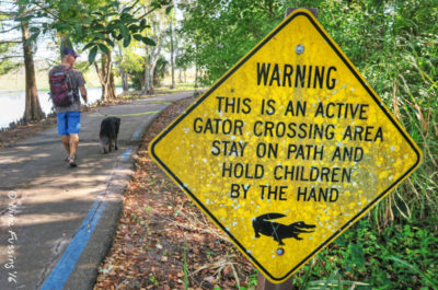 Parker Lake was a great place to walk the dog (just watch out for those pesky gators)