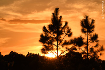 Rare sunset colors
