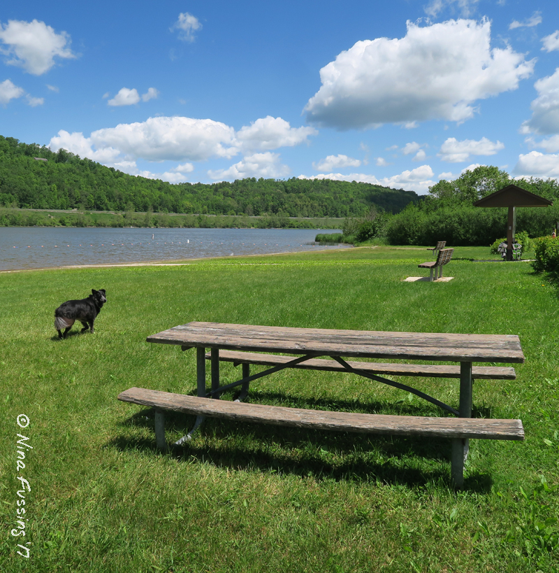 COE Campground Review Ives Run Campground, Tioga, PA Wheeling It