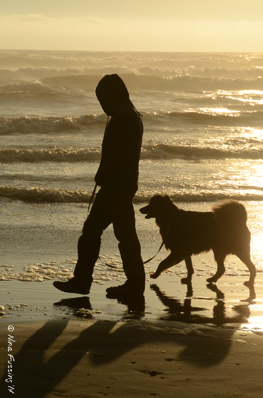 Squeeze Me And Yes, Please – Kalaloch, WA – Wheeling It: Tales From a ...